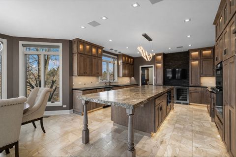 Tiny photo for 25676 N Canyon Creek Court, Barrington, IL 60010 (MLS # 12597704)