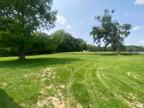 Tiny photo for 22545 Thompsonville Lake Road, Thompsonville, IL 62890 (MLS # EB458195)