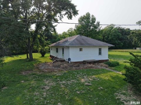 Tiny photo for 22545 Thompsonville Lake Road, Thompsonville, IL 62890 (MLS # EB458195)