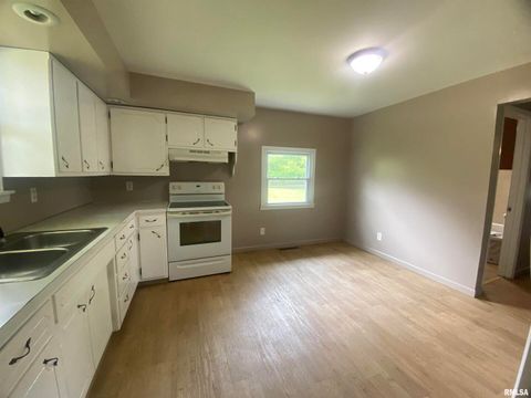 Tiny photo for 22545 Thompsonville Lake Road, Thompsonville, IL 62890 (MLS # EB458195)