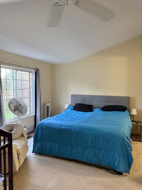 Tiny photo for 19 Windsor Circle #B, South Elgin, IL 60177 (MLS # 12610017)