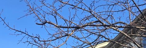 Tiny photo for 6252 Kallsen Drive #4, Tinley Park, IL 60477 (MLS # 12594733)