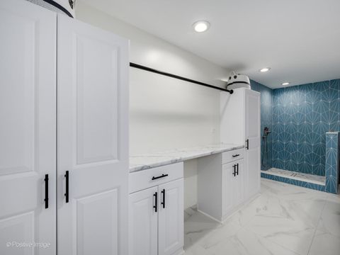 Tiny photo for 1729 Linden Avenue, Park Ridge, IL 60068 (MLS # 12490216)