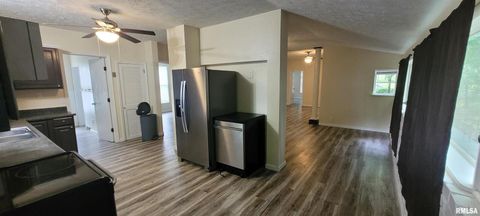 Tiny photo for 419 N JOHNSON Avenue, Mt Vernon, IL 62864 (MLS # EB458369)