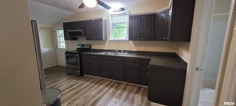 Tiny photo for 419 N JOHNSON Avenue, Mt Vernon, IL 62864 (MLS # EB458369)