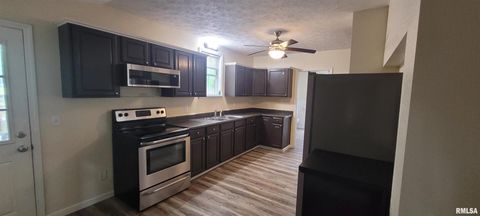 Tiny photo for 419 N JOHNSON Avenue, Mt Vernon, IL 62864 (MLS # EB458369)