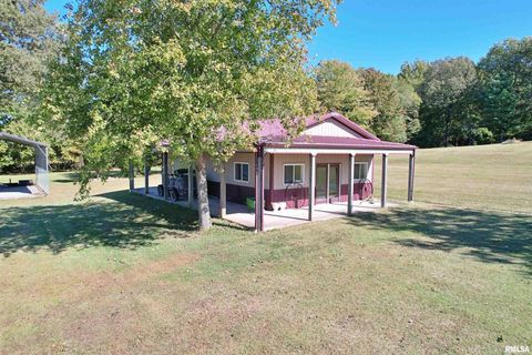 Tiny photo for 3220 Massac Creek Road, Metropolis, IL 62960 (MLS # EB460297)