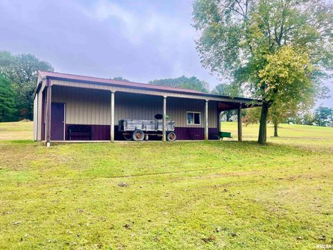 Tiny photo for 3220 Massac Creek Road, Metropolis, IL 62960 (MLS # EB460297)