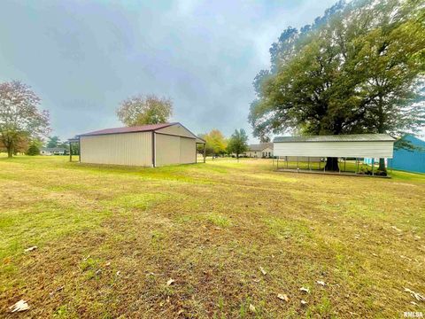 Tiny photo for 3220 Massac Creek Road, Metropolis, IL 62960 (MLS # EB460297)