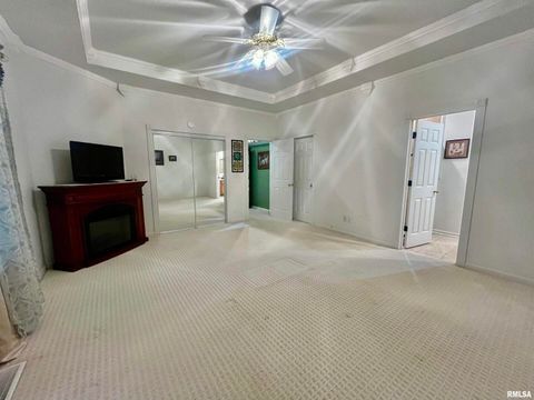 Tiny photo for 3220 Massac Creek Road, Metropolis, IL 62960 (MLS # EB460297)