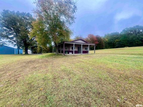 Tiny photo for 3220 Massac Creek Road, Metropolis, IL 62960 (MLS # EB460297)