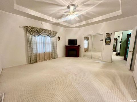 Tiny photo for 3220 Massac Creek Road, Metropolis, IL 62960 (MLS # EB460297)