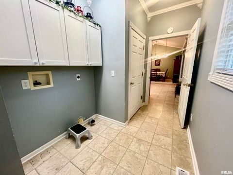 Tiny photo for 3220 Massac Creek Road, Metropolis, IL 62960 (MLS # EB460297)