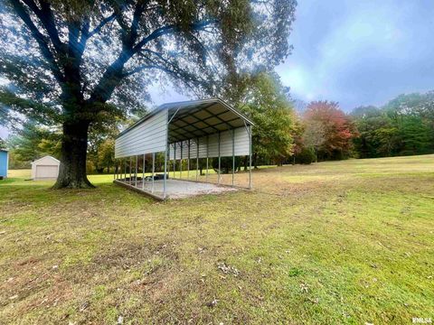 Tiny photo for 3220 Massac Creek Road, Metropolis, IL 62960 (MLS # EB460297)