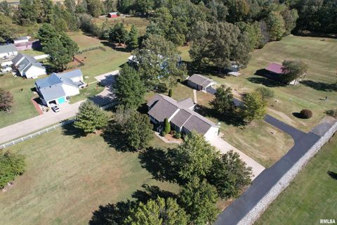 Tiny photo for 3220 Massac Creek Road, Metropolis, IL 62960 (MLS # EB460297)