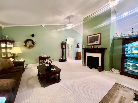 Tiny photo for 3220 Massac Creek Road, Metropolis, IL 62960 (MLS # EB460297)