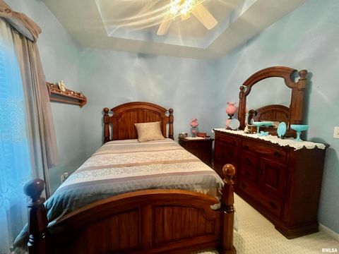 Tiny photo for 3220 Massac Creek Road, Metropolis, IL 62960 (MLS # EB460297)