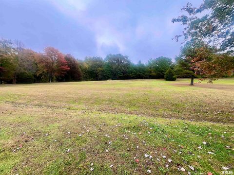 Tiny photo for 3220 Massac Creek Road, Metropolis, IL 62960 (MLS # EB460297)