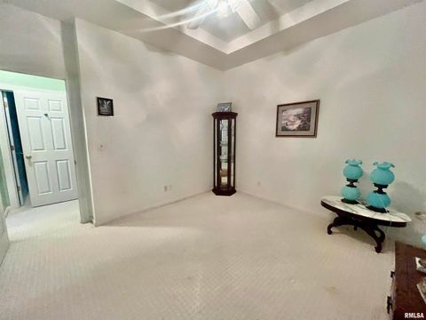 Tiny photo for 3220 Massac Creek Road, Metropolis, IL 62960 (MLS # EB460297)