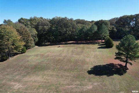 Tiny photo for 3220 Massac Creek Road, Metropolis, IL 62960 (MLS # EB460297)