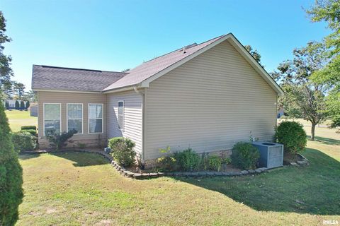 Tiny photo for 3220 Massac Creek Road, Metropolis, IL 62960 (MLS # EB460297)