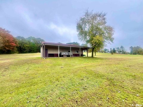 Tiny photo for 3220 Massac Creek Road, Metropolis, IL 62960 (MLS # EB460297)