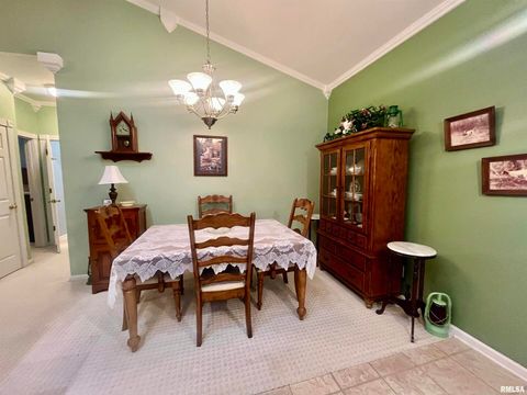 Tiny photo for 3220 Massac Creek Road, Metropolis, IL 62960 (MLS # EB460297)