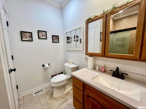 Tiny photo for 3220 Massac Creek Road, Metropolis, IL 62960 (MLS # EB460297)