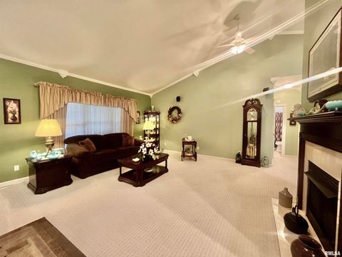 Tiny photo for 3220 Massac Creek Road, Metropolis, IL 62960 (MLS # EB460297)