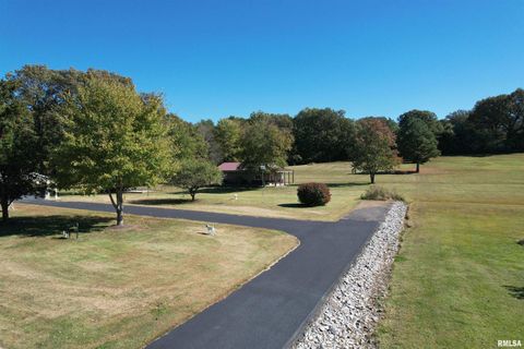 Tiny photo for 3220 Massac Creek Road, Metropolis, IL 62960 (MLS # EB460297)