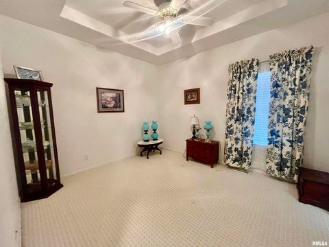 Tiny photo for 3220 Massac Creek Road, Metropolis, IL 62960 (MLS # EB460297)