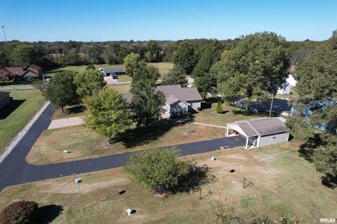 Tiny photo for 3220 Massac Creek Road, Metropolis, IL 62960 (MLS # EB460297)