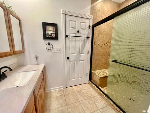 Tiny photo for 3220 Massac Creek Road, Metropolis, IL 62960 (MLS # EB460297)