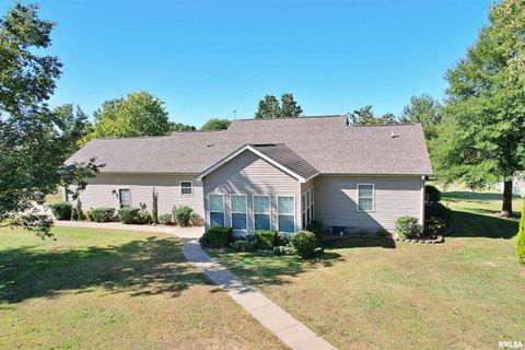 Tiny photo for 3220 Massac Creek Road, Metropolis, IL 62960 (MLS # EB460297)