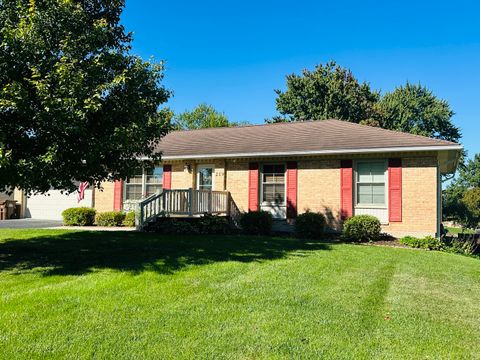 Photo of 219 Palm Drive, Lena, IL 61048 (MLS # 12465840)