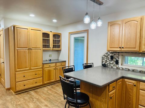 Tiny photo for 219 Palm Drive, Lena, IL 61048 (MLS # 12465840)