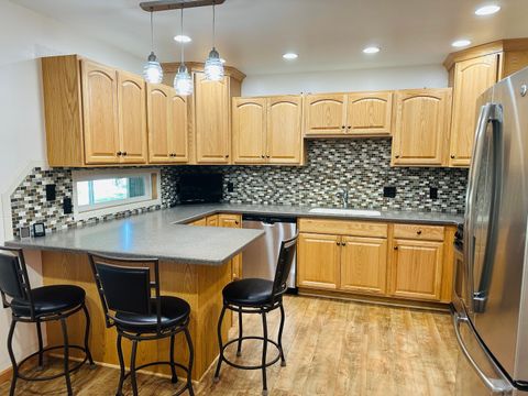 Tiny photo for 219 Palm Drive, Lena, IL 61048 (MLS # 12465840)