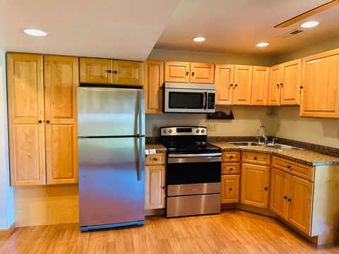 Tiny photo for 219 Palm Drive, Lena, IL 61048 (MLS # 12465840)