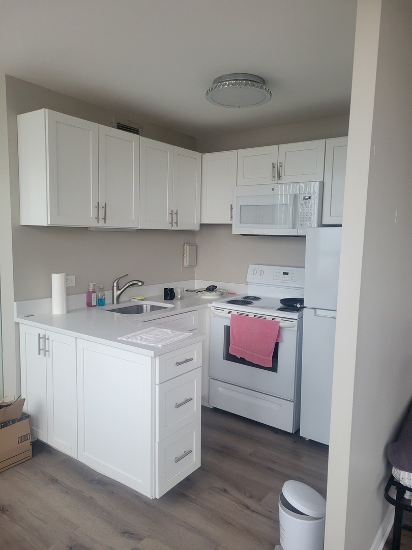 6171 N Sheridan Road 705