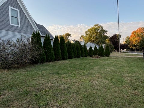 Tiny photo for 108 E Van Buren Street, Philo, IL 61864 (MLS # 12785249)