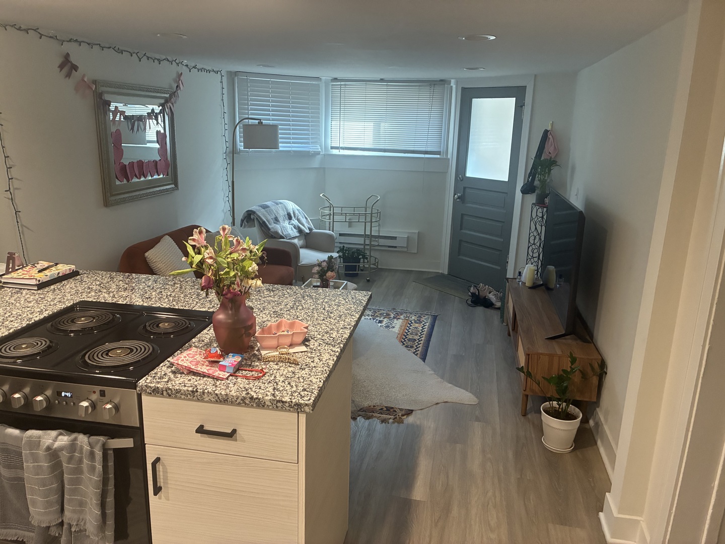 1336 W Diversey Parkway G