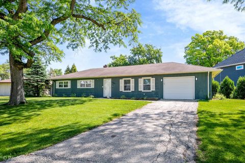 Photo of 5547 S Bruner Street, Hinsdale, IL 60521 (MLS # 12654133)