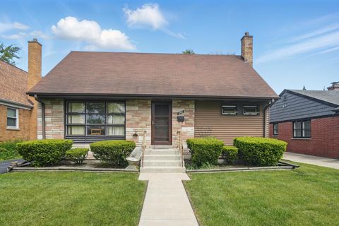 241 N Hamlin Avenue Park Ridge IL 60068