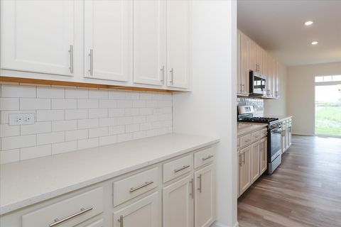 Tiny photo for 23253 W Tenny Street, Plainfield, IL 60585 (MLS # 12561349)