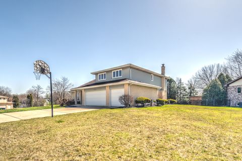 A home in Homer Glen