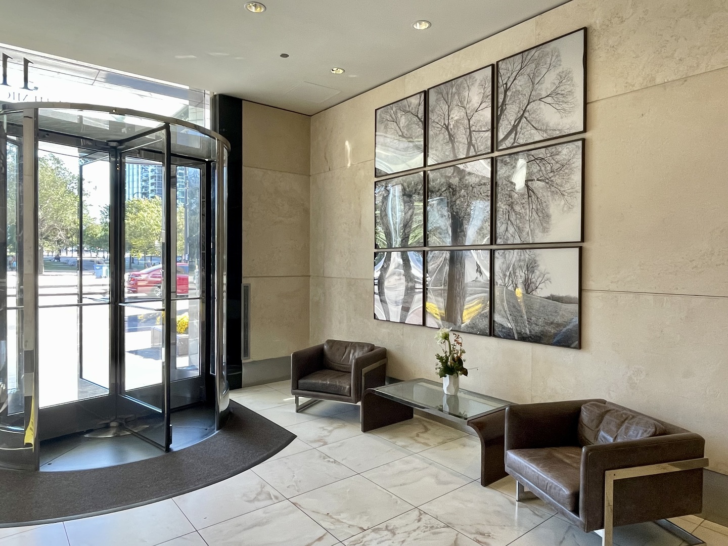 1160 S MICHIGAN Avenue 1107