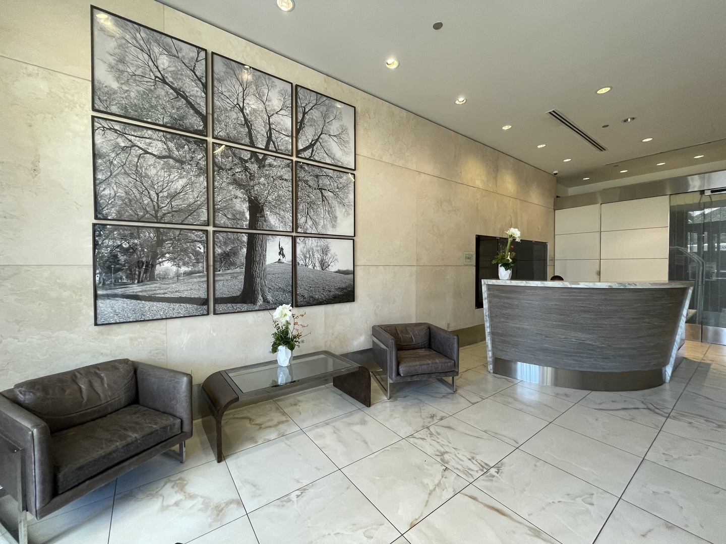 1160 S MICHIGAN Avenue 1107