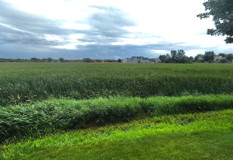 Tiny photo for 1605 Crowfoot Circle S, Hoffman Estates, IL 60169 (MLS # 12677065)