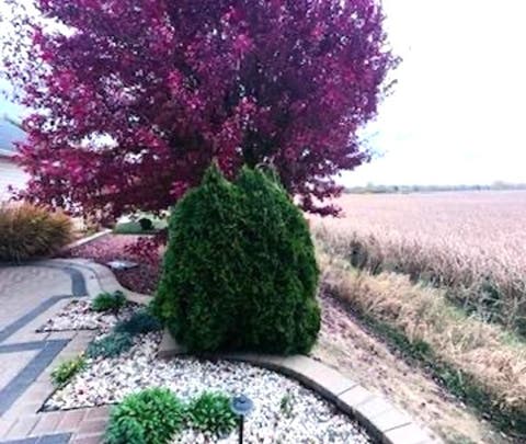 Tiny photo for 1605 Crowfoot Circle S, Hoffman Estates, IL 60169 (MLS # 12677065)