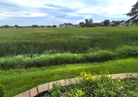 Tiny photo for 1605 Crowfoot Circle S, Hoffman Estates, IL 60169 (MLS # 12677065)